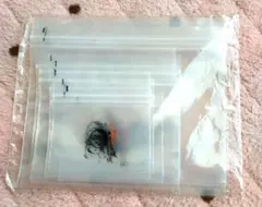 Item thumbnail for item 6aa23e4c-a960-4724-8833-3862483a989f