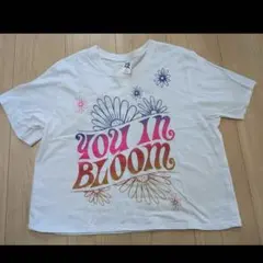 ZUMBA　正規品　YOU IN BLOOM 半袖Tシャツ M/L