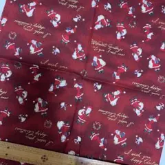 LECIEN クリスマス