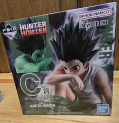 ハンターハンター HUNTER×HUNTER 一番くじ C賞 ゴン