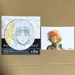 進撃の巨人　WIT STUDIO アルミン　缶バッジ　オーロラ　ステッカー