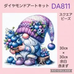 DA811★ダイヤモンドアートキット★スクエアビーズ