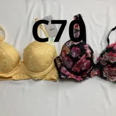 アモスタイル トリンプ レディース 下着 ブラジャー 2枚セット C70 109