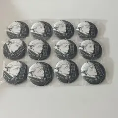 呪術廻戦 虎杖悠仁 オールスター缶バッジ 12点セット