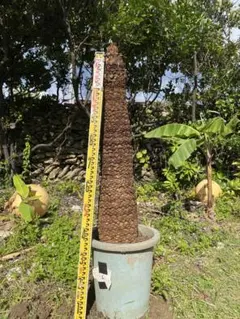 タッシー様 リクエスト 2点 まとめ商品