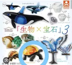 Item thumbnail for item 51a9dc7a-8038-4f3b-b8b7-262605119e24