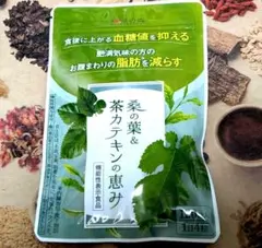 匿名配送・送料無料】和漢の森 桑の葉 & 茶カテキンの恵み 120粒入 ×1