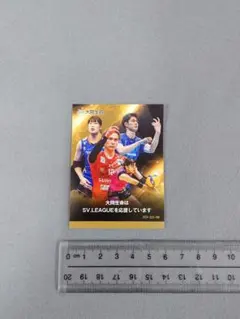 マー君様 リクエスト 3点 まとめ商品