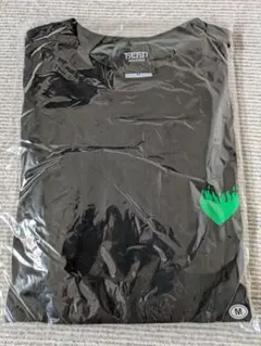 藤井風さん 燃えよロンT HEHN RECORDS 黒 Tシャツ Mサイズ - メルカリ