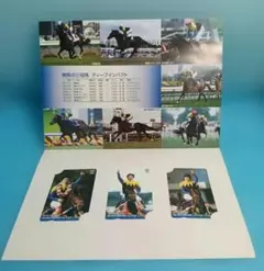 【レア】2005年　ディープインパクト　　　三冠記念オッズカード　武豊