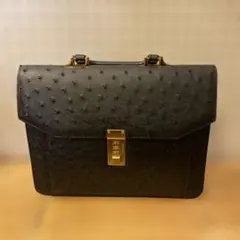 オーストリッチレザー 黒 ハンドバック 現状