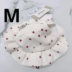 Item thumbnail for item abca02f8-c305-441c-959a-c716f0684da0