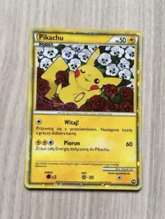 希少Pikachu P ピカチュウワールド2010フランスPW海外版 - メルカリ