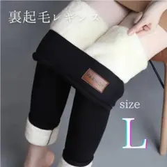 極暖 裏起毛 レギンス 防風 あったか レディース 冬　レギパン　スキニー　L