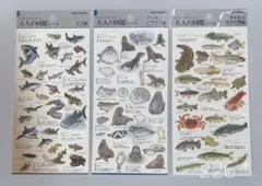 サピックス＊４年５年６年＊理科／生物（動物 植物）暗記カード・全８０枚完全版 新品未使用 サピックス 動物カード全3枚 理科 生物分野暗記カード