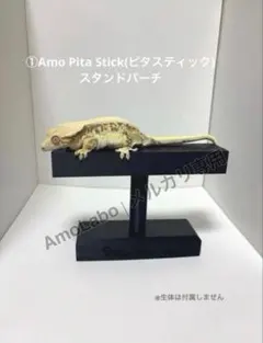 Amo Labo｜①爬虫類 餌やりスタンド 止まり木のサムネイル