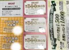500엔 할인권 3매, 클럽 회원권 2매