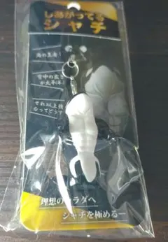 しあがってるシャチ✨　キーホルダー　神戸須磨シーワールド　新品未開封✨