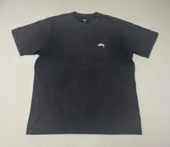 STUSSY ナスコン 半袖Tシャツ フェード 無地刺繍ロゴ