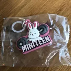 SEVENTEENミニティーン ガチャ めじるしアクセサリー エスクプス