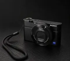 希少 初代後期型 Ver2.0 SONY DSC-RX100 ZEISSレンズ - メルカリ