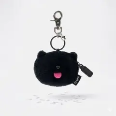 【美品】COMFORT PIYONG キーリング　airpods ケース　韓国