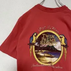 TWIN PALMS RESORT バックプリントtシャツ　ピンク系　Sサイズ