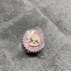 ラッコさん　#平成女児チョコ