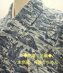 □503ay87□お宮参り セミアンティーク 絽 夏の祝い着 長襦袢付□美品 