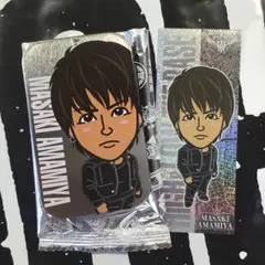 値下げしました！雨宮雅貴  セット