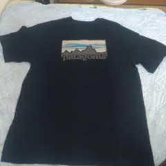 patagonia⭐2024信越五岳トレイルランニングレース参加賞Tシャツ