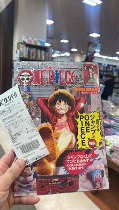新品ONE PIECE magazine 20号 プロモ付き　美品　シングル付き