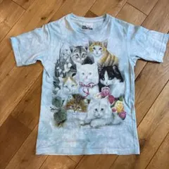 【THE MOUNTAIN 】子猫 Tシャツ サイズL 着画ありのサムネイル