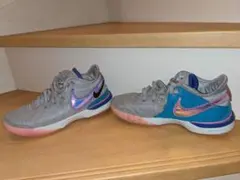 Item thumbnail for item 4f30efc9-0733-4b38-9a03-948c4036ee50