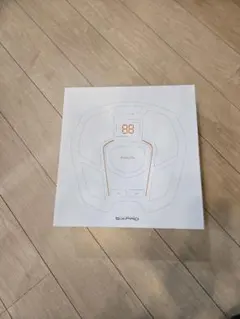 Item thumbnail for item ac68c7b1-32f2-4ea1-842b-d390332310d9