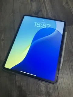 iPad Pro (第8世代) 11インチ スペースブラック 256GB セル… - メルカリ