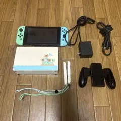 Nintendo Switch あつまれどうぶつの森版 本体セット