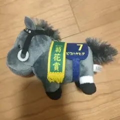 ビワハヤヒデ 1993年 菊花賞 単勝馬券 - メルカリ