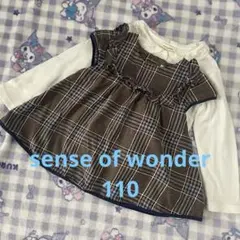 センスオブワンダー100