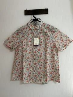 Item thumbnail for item 7d06c78c-f36f-4044-8fad-dc36248b8ef0