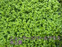 ベリーグッド様 リクエスト 5点 まとめ商品