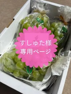 専用ページ　シャインマスカット　クイーンニーナ