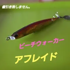 DUO ビーチウォーカー アフレイドのサムネイル