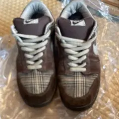 Nike SB Dunk Low Pro 