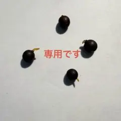 ＹＴ様の専用です