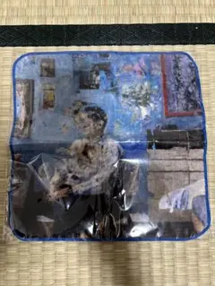 ミセスグリーンアップル 大森元貴