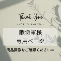 暇将軍様　専用ページ　４点おまとめ　※他の方のご購入はご遠慮ください