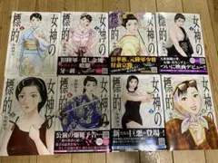 女神の標的. 1～９ 全巻セット！ 【美品】 女神の標的 1巻〜9巻 全巻セット 帯付き美品 小山ゆう - メルカリ