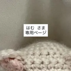 専用ページ