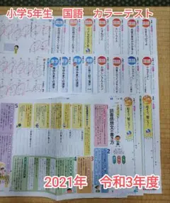 小学5年 理科 カラーテスト 令和7年度 11枚分 東京書籍 教育同人社